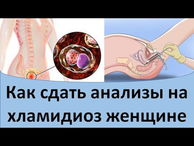 Можно ли сдавать анализы