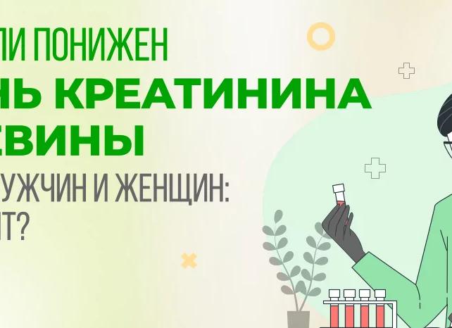 Креатинин понижен что это значит Креатинин понижен что это значит