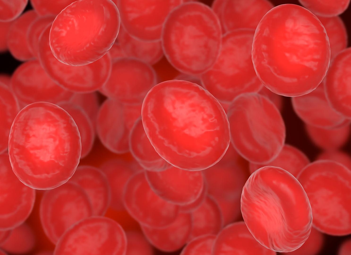 Коэффициент анизотропии эритроцитов повышен что это значит