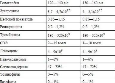 Гематологический анализ крови расшифровка у взрослых норма в таблице