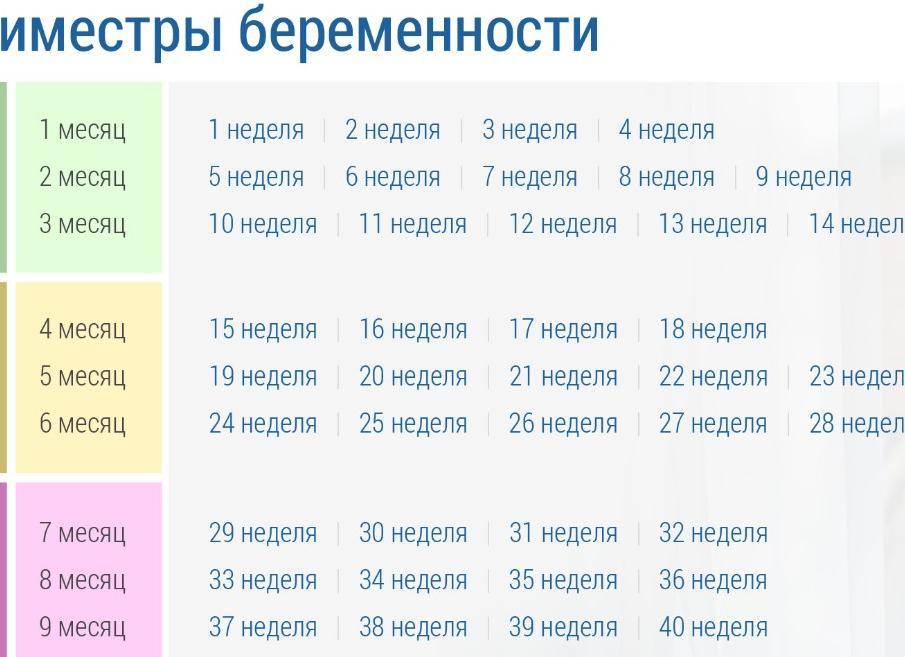 32 недели сколько месяцев