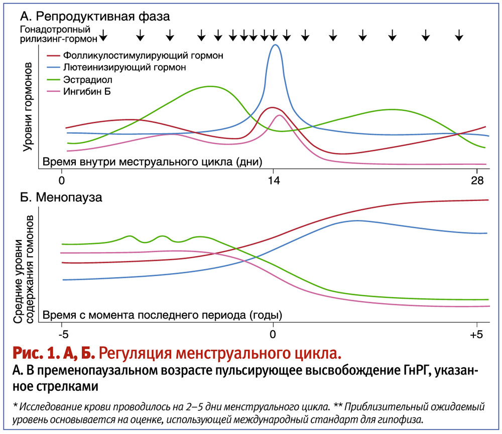 Гормоны при менопаузе