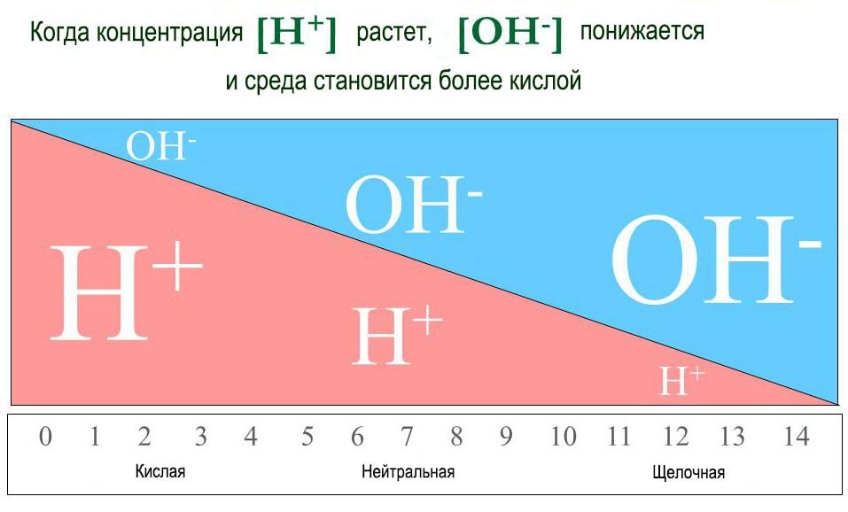 Кислая моча что значит