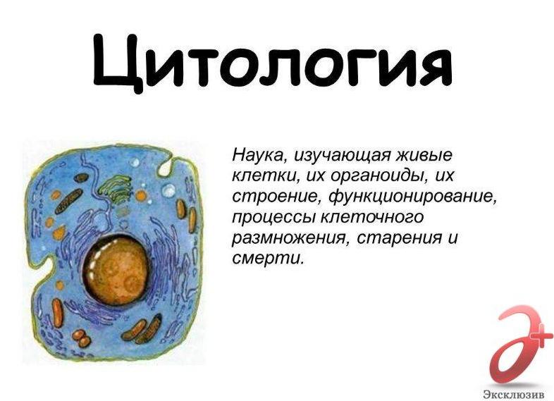 Что такое цитологическое