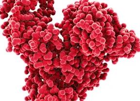 Альбумины повышены что означает Альбумины повышены что означает