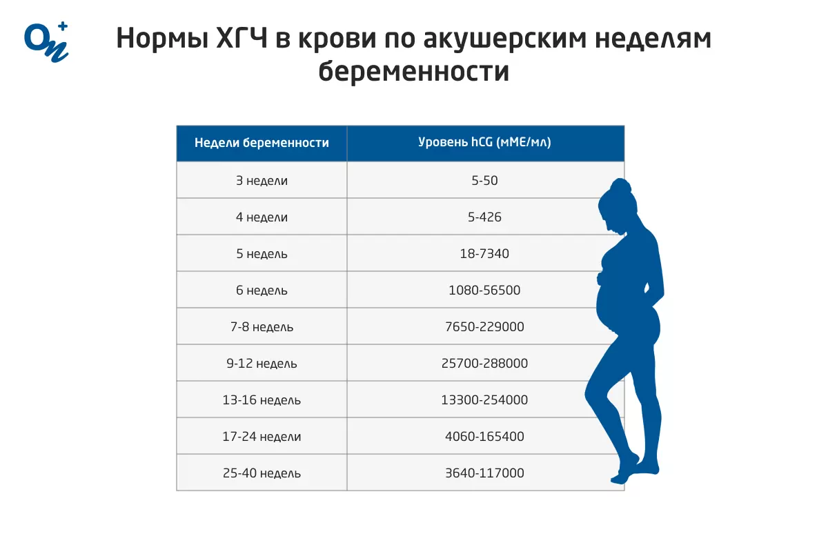 600 хгч какой срок