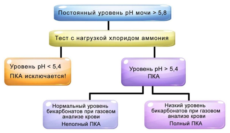 Кислотность мочи как понизить
