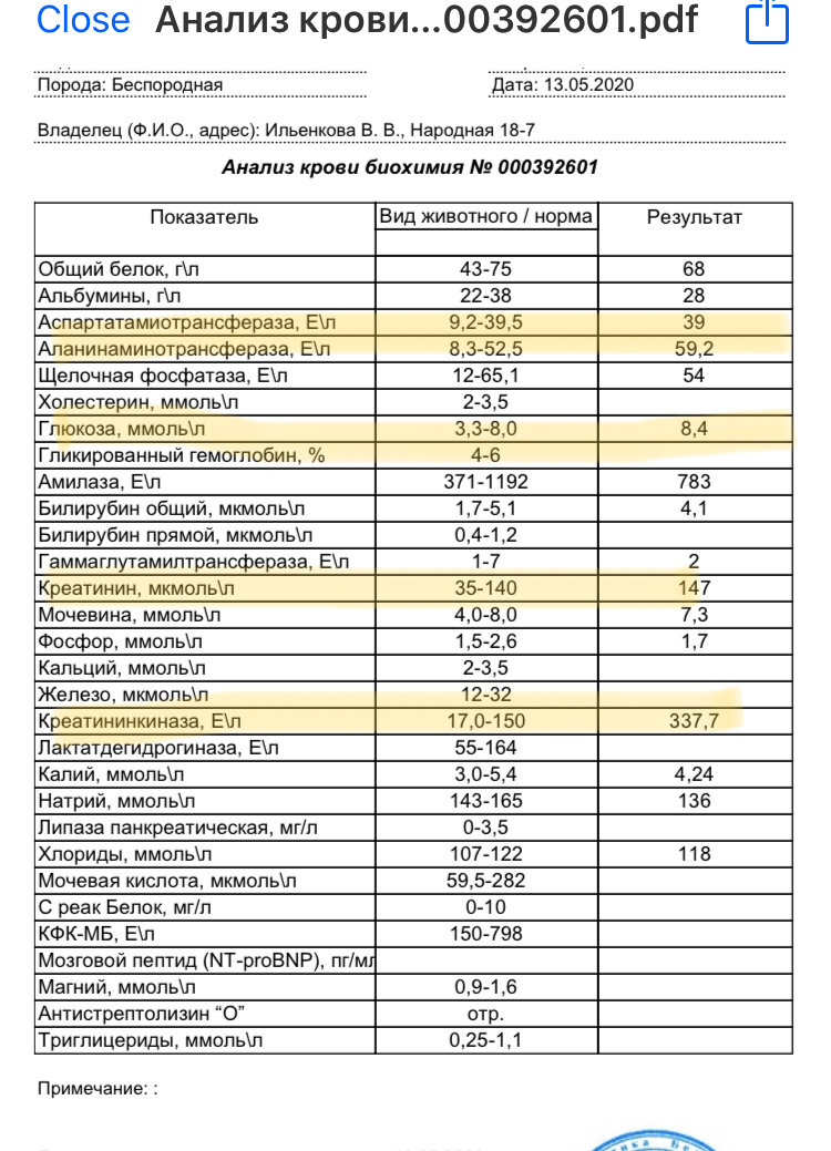 Креатинин повышен в 2 раза