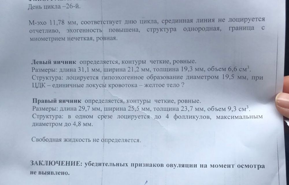 Лоцируются что это значит