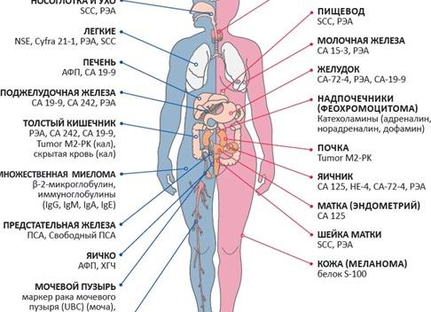Какое соэ при онкологии