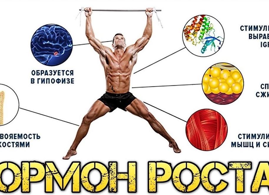 Как повысить гормон Как повысить гормон
