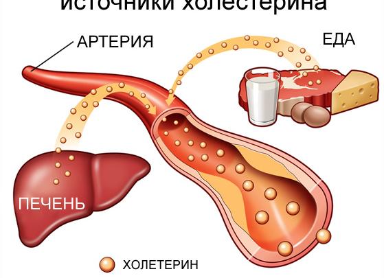 Холестерин и сахар
