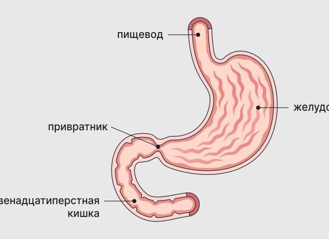 Эрозивная дуоденопатия что это такое