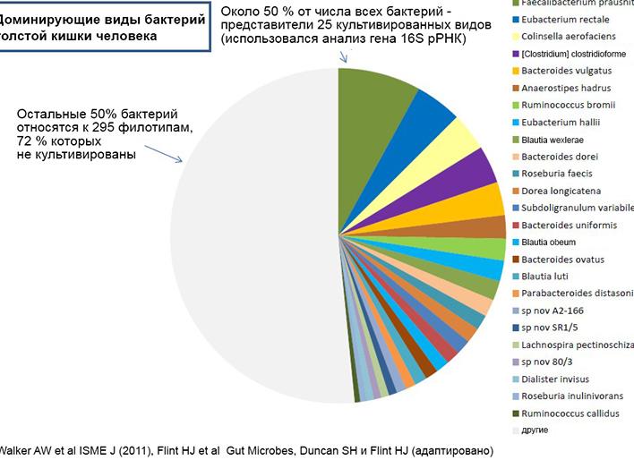 Бактероиды снижены что это значит