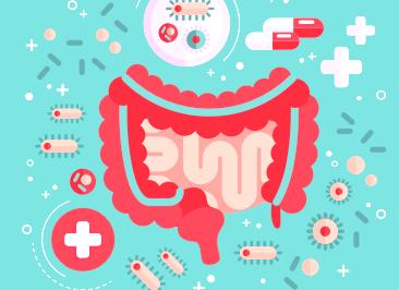 Анализ на дисбактериоз расшифровка у взрослых