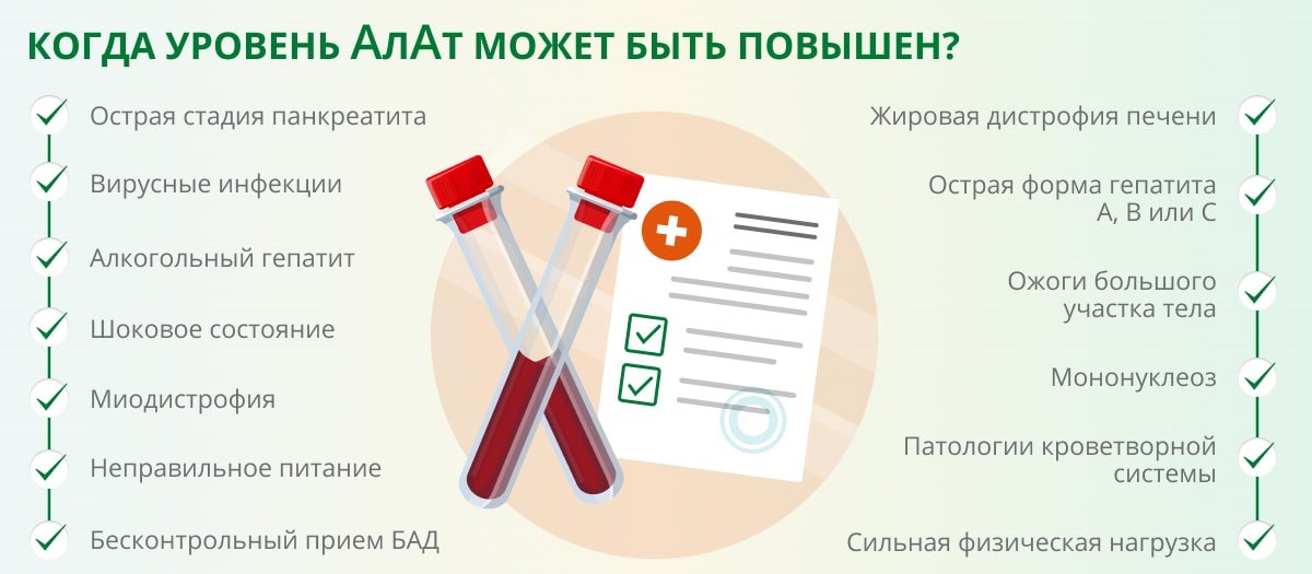 Алат в крови повышен причины