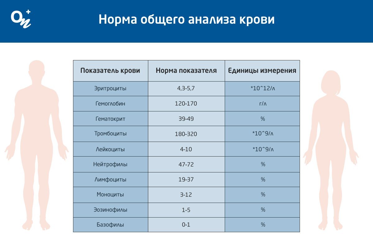 Лейкоциты в крови норма у мужчин по возрасту
