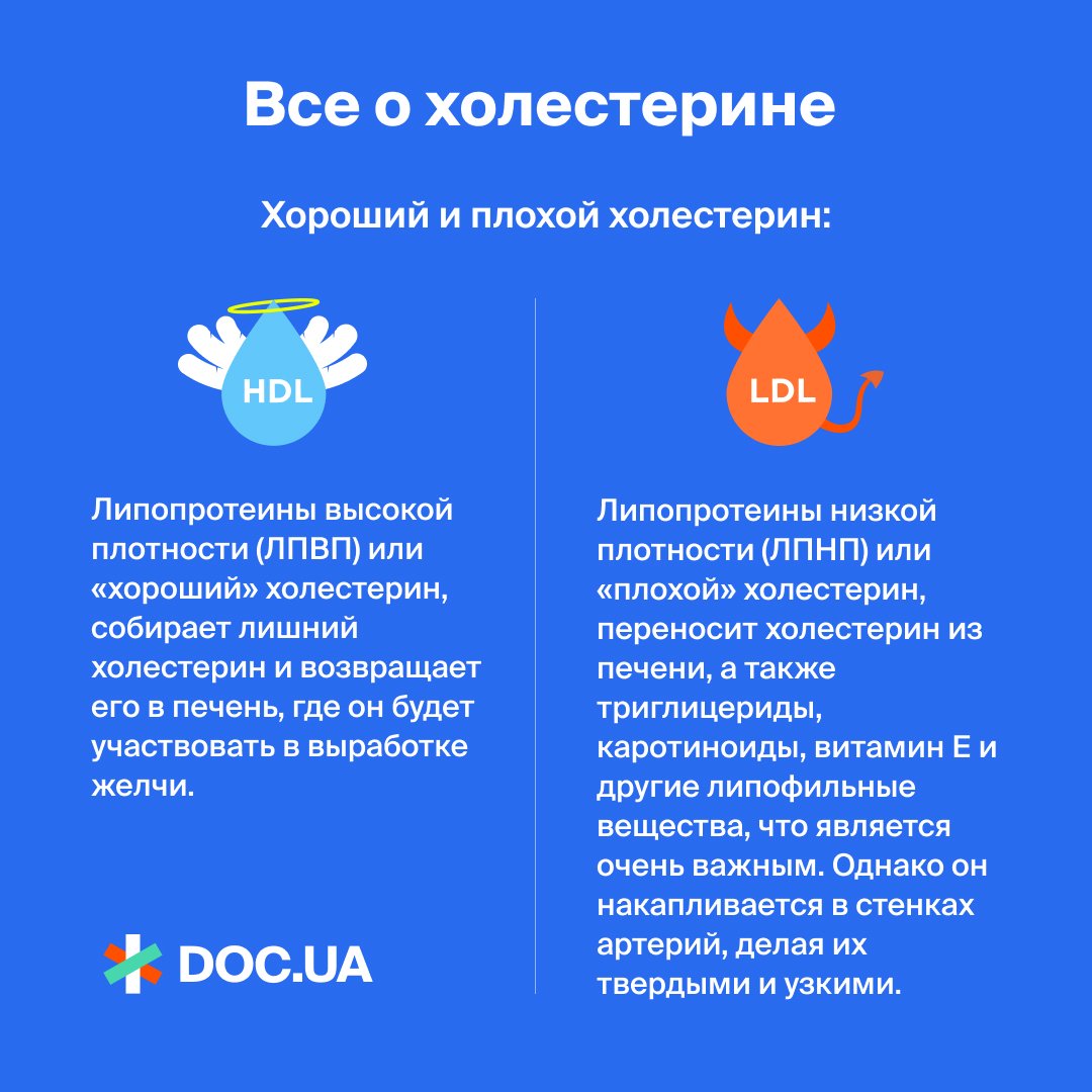 Лпвп повышен что это значит