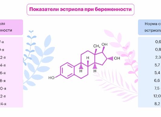 Кости носа плода по неделям норма таблица