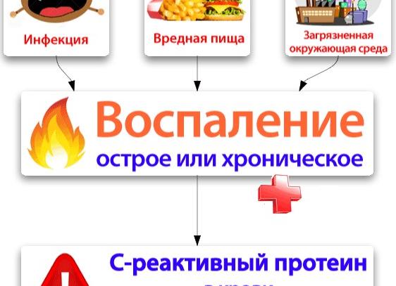 Белок в крови что это значит