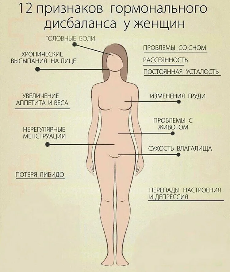 Гормон эстрадиол у женщин