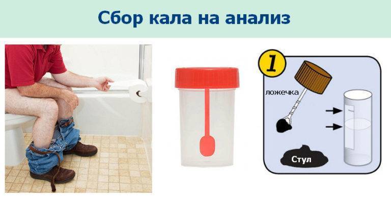 Кал как сдавать