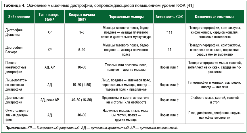 Кфк в крови норма у женщин