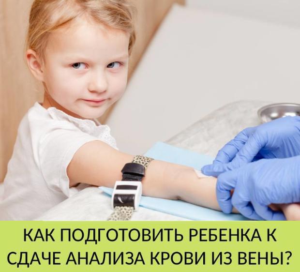 Кровь из вены как подготовиться