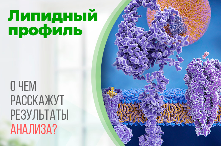 Липидный профиль что такое