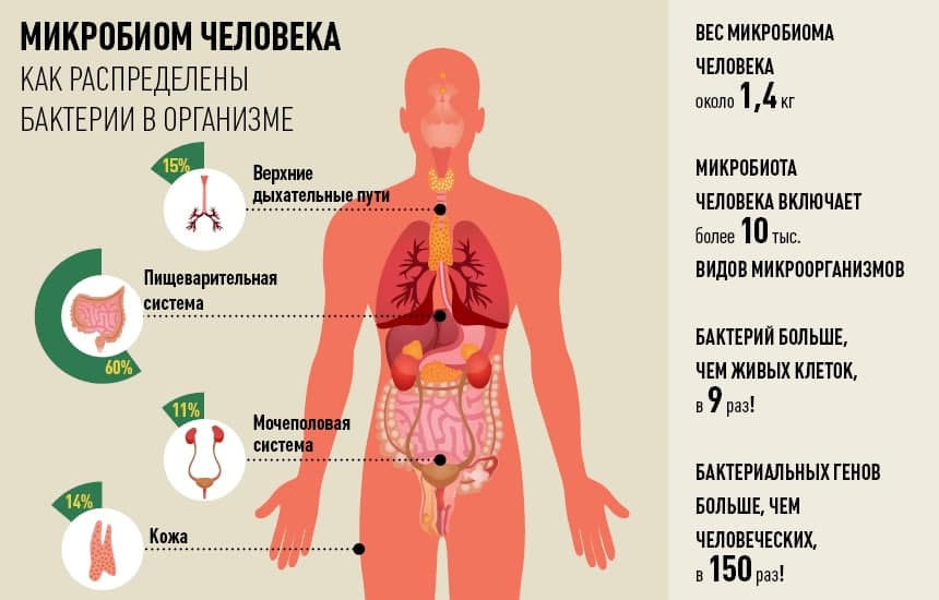 Микрофлора тела человека