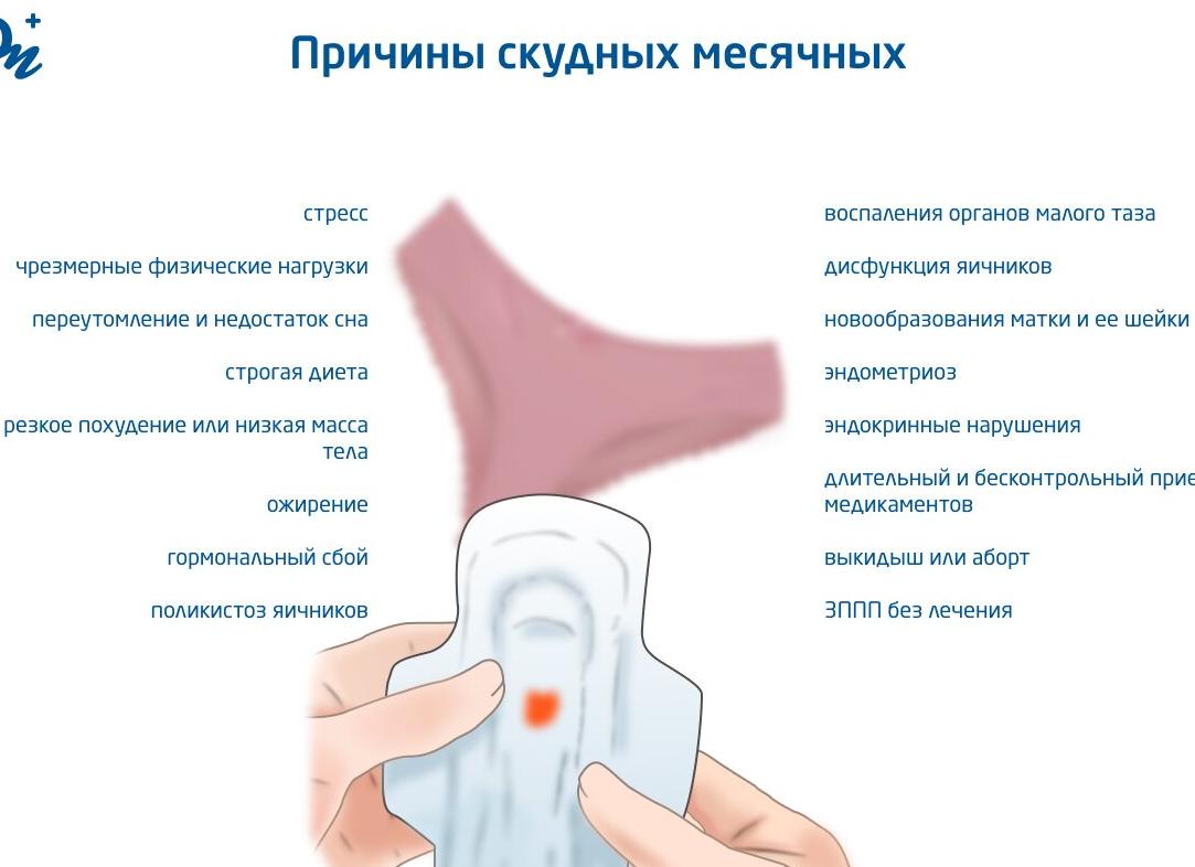 Месячные не идут а мажутся почему Месячные не идут а мажутся почему