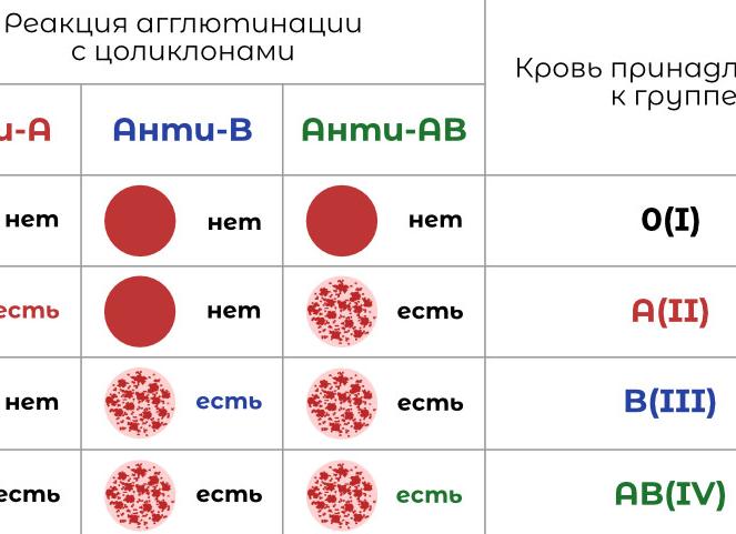 Как определить группу крови цоликлонами Как определить группу крови цоликлонами