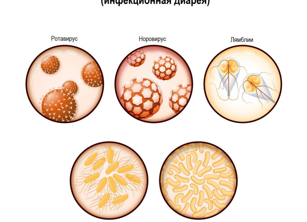 Диарея не проходит