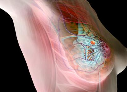 Что означает анализ крови са 153