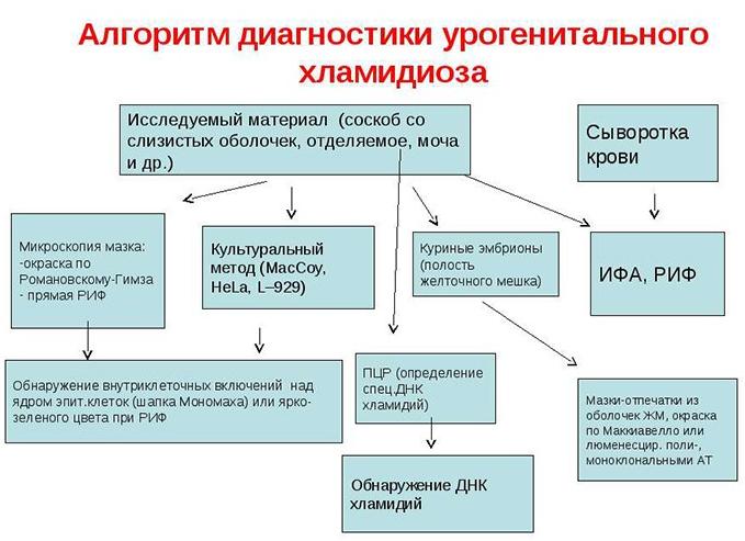 Чем лечится хламидиоз у мужчин Чем лечится хламидиоз у мужчин