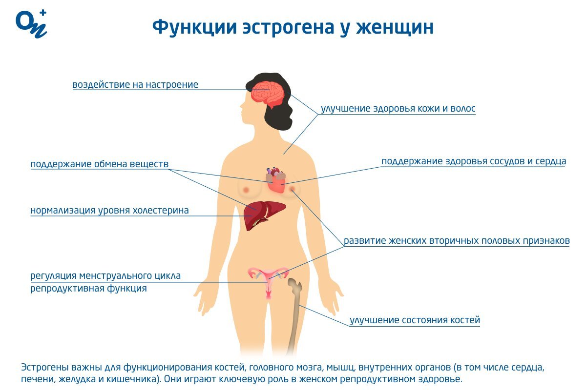 Анализ крови на эстрогены