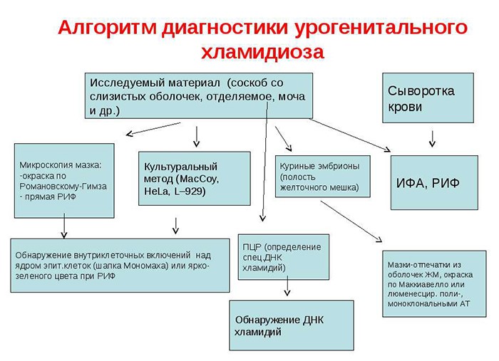 Как лечится хламидиоз у мужчин