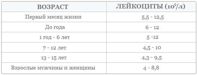 Лейкоциты в общем анализе крови