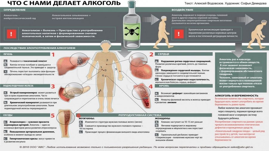 Можно ли пить алкоголь при анемии