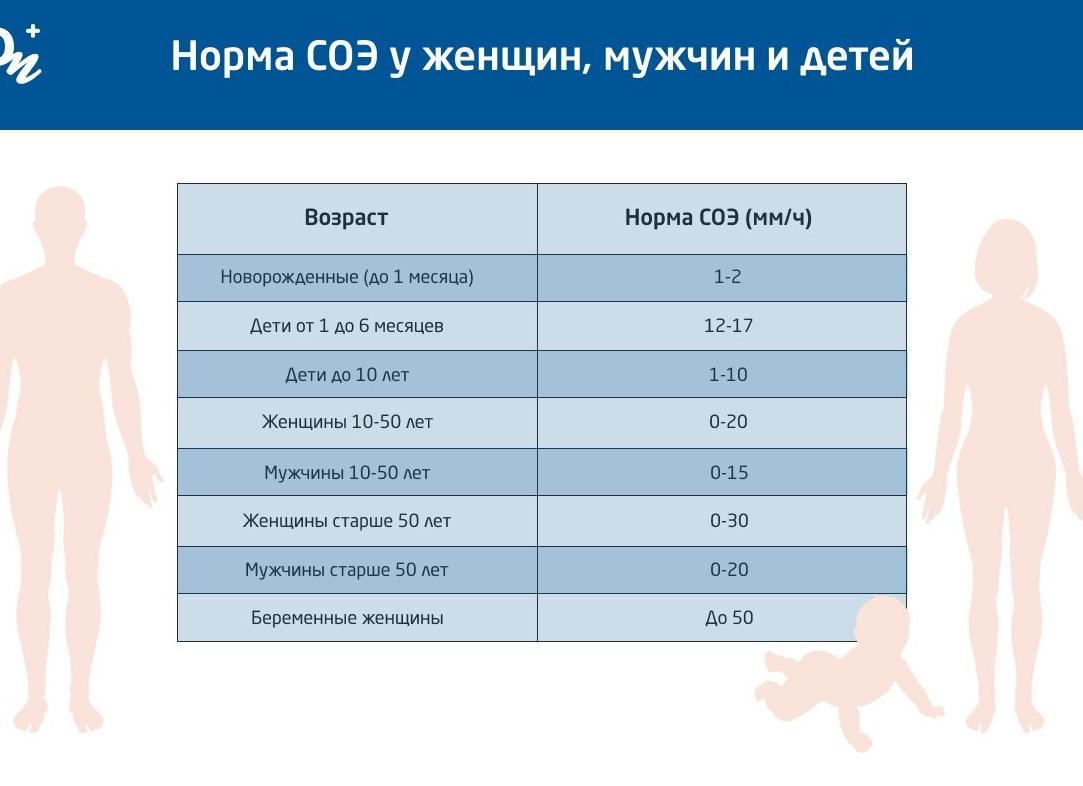 Креатинин в крови у ребенка повышена Креатинин в крови у ребенка повышена