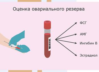 Как проверить гормональный фон женщины