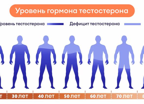 Что значит высокий уровень тестостерона у мужчин