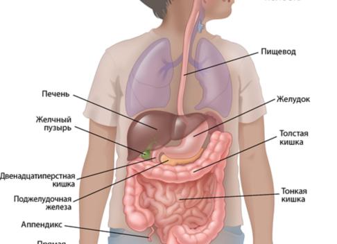 Беззондовая энтерография что это