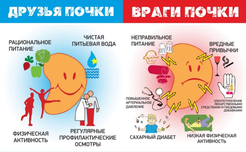 Как проверить почки