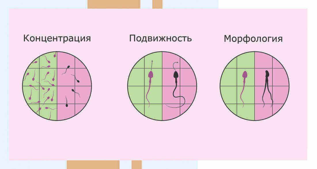 Как проверить совместимость мужчины и женщины для зачатия ребенка
