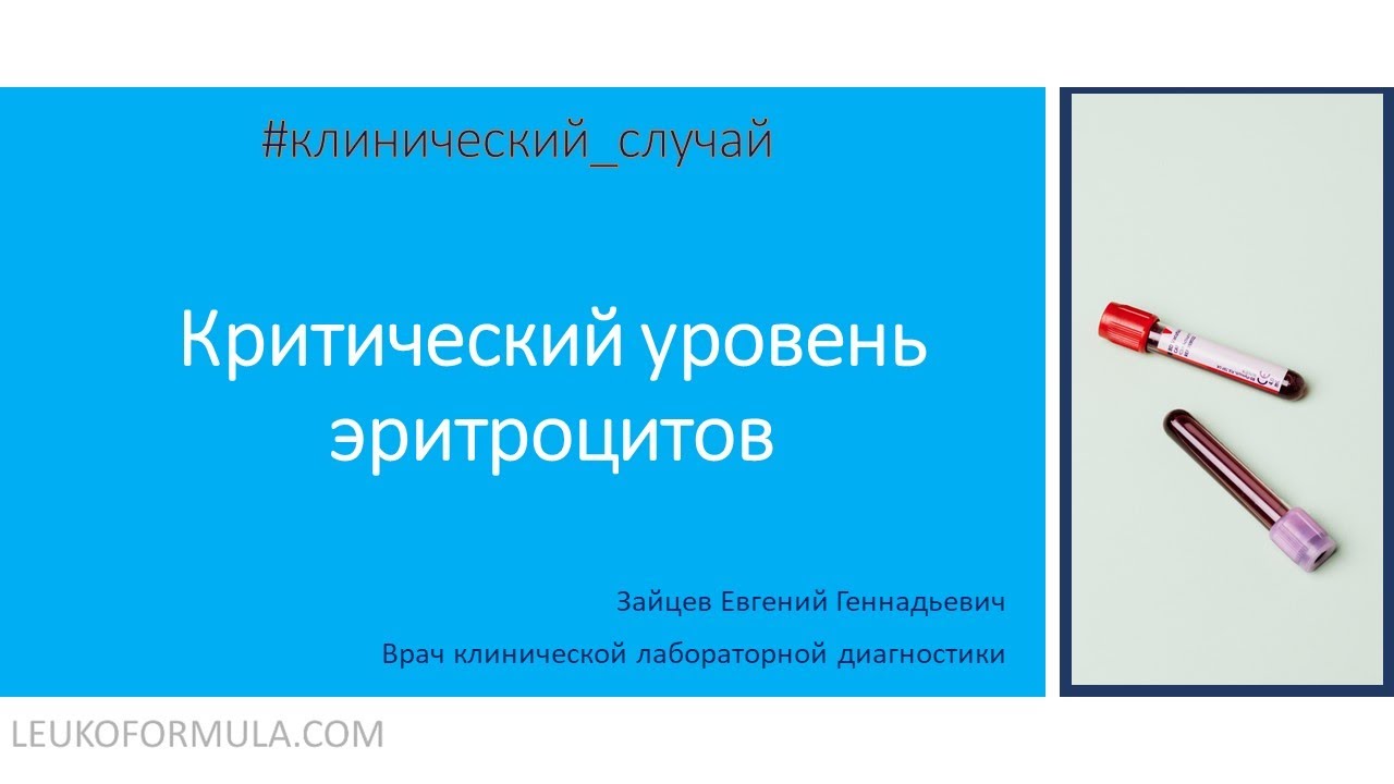 Какие продукты повышают уровень эритроцитов в крови