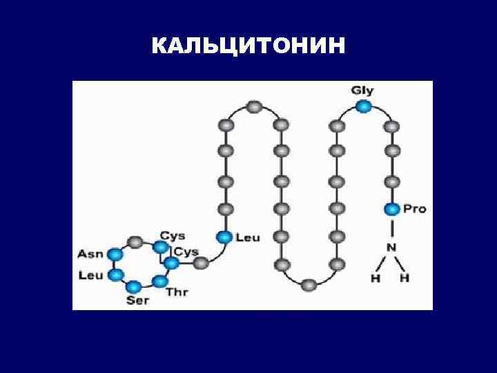 Кальцитонин что это такое