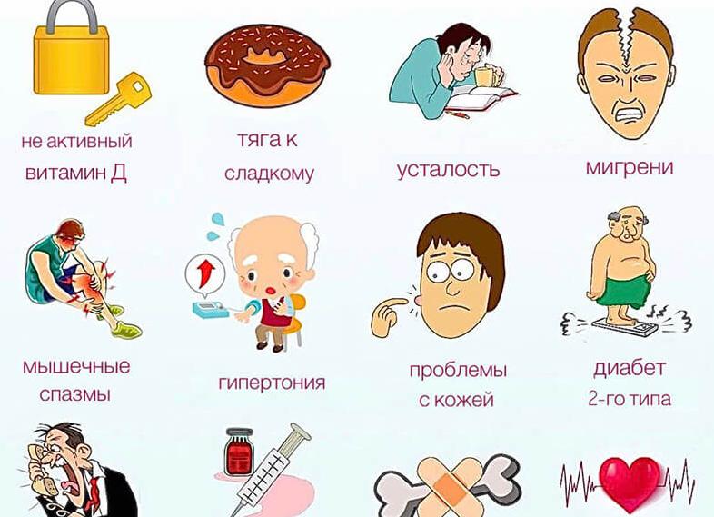 Магний за что отвечает в организме