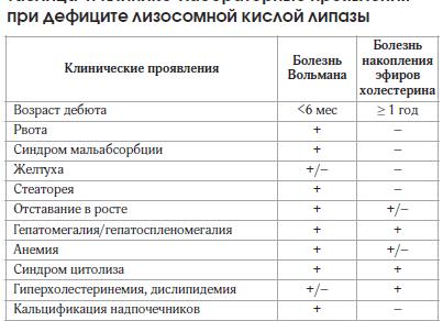 Липаза в крови норма