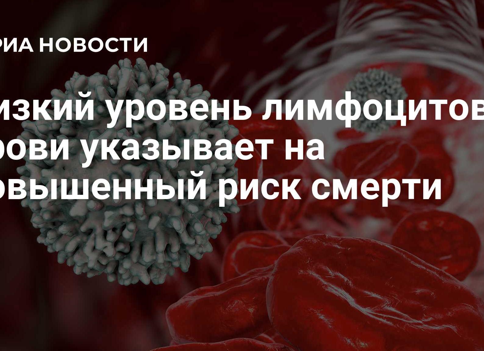 Лимфоциты в крови низкие Лимфоциты в крови низкие